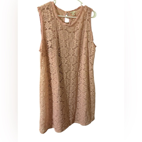 Cato Dresses & Skirts - Stunning Cato Light Pink Lace Dress size XL NWOT!